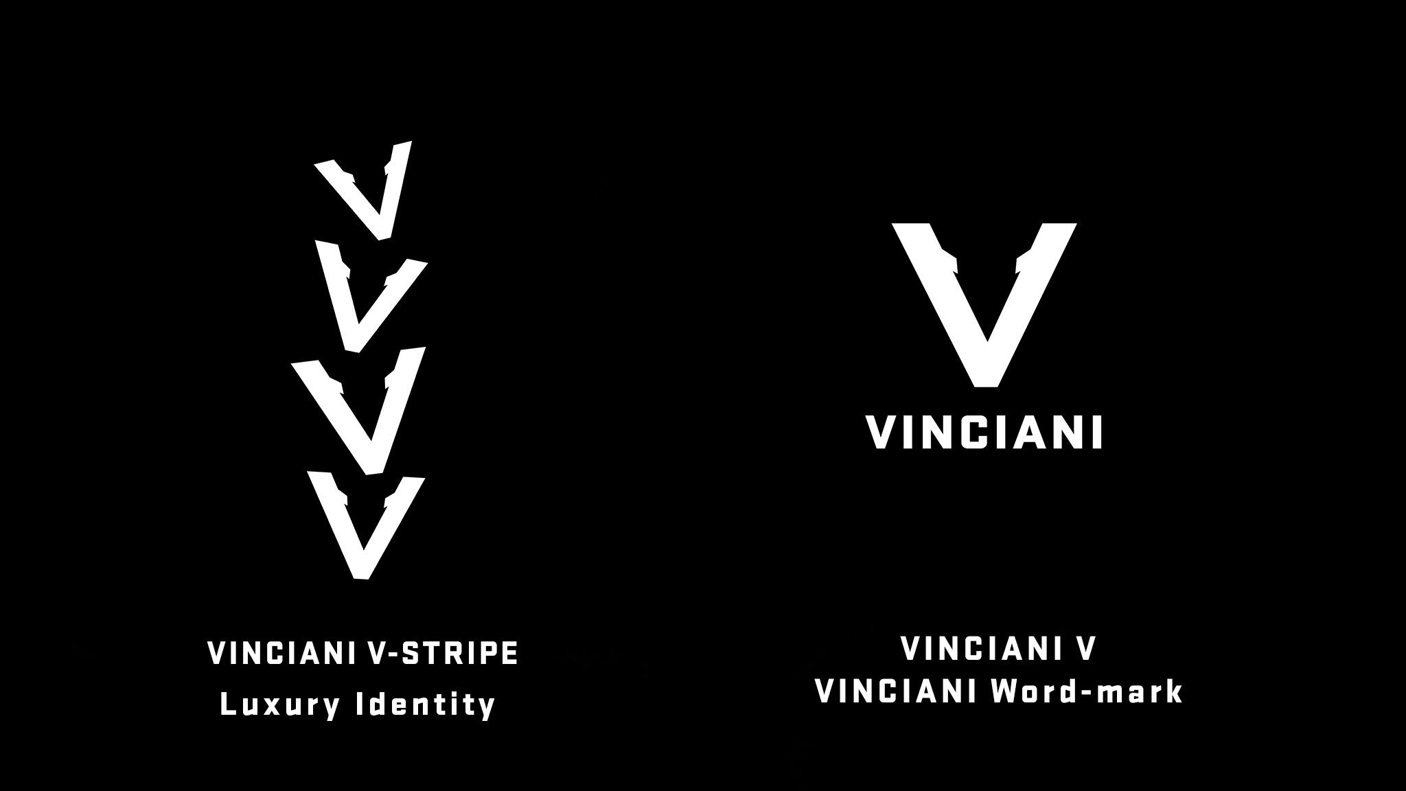 Official Vinciani visual identity guide featuring the V-Mark, Ascension Stripe and Discipline Stripe. The signature design language of the House of Strength, Discipline and Design.